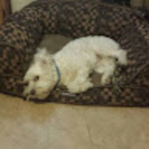 Meet your Posher, Sergio